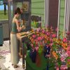The Sims 2: Бизнес - Сим делает букеты цветов