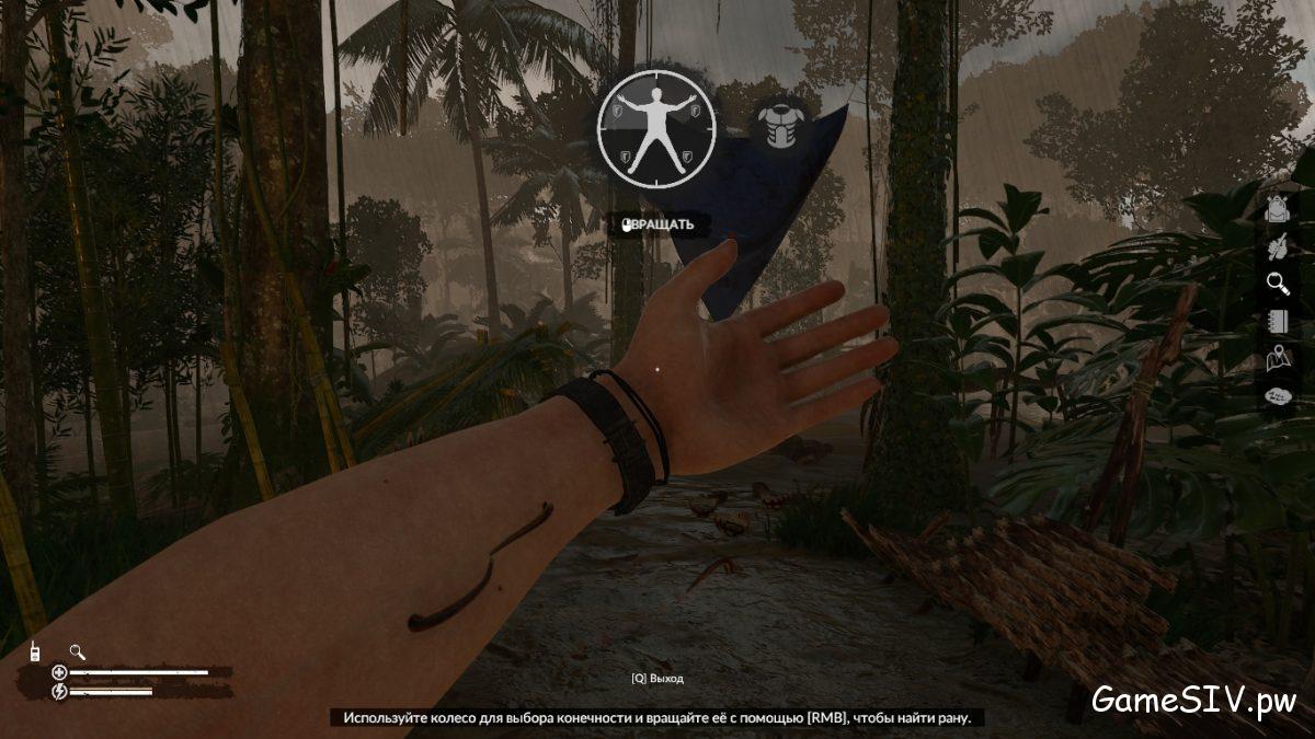 Green Hell - Медицинский режим, осмотр тела Green Hell - Медицинский режим, осмотр тела