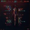 Cyberpunk 2077 - Киберимпланты Cyberpunk 2077 - Киберимпланты