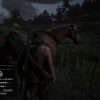 Red Dead Redemption 2 - Информация о лошади
