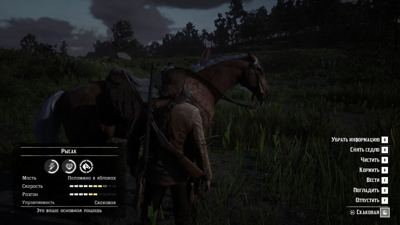 Red Dead Redemption 2 - Информация о лошади